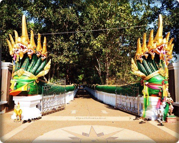 รูปภาพข่าวสาร