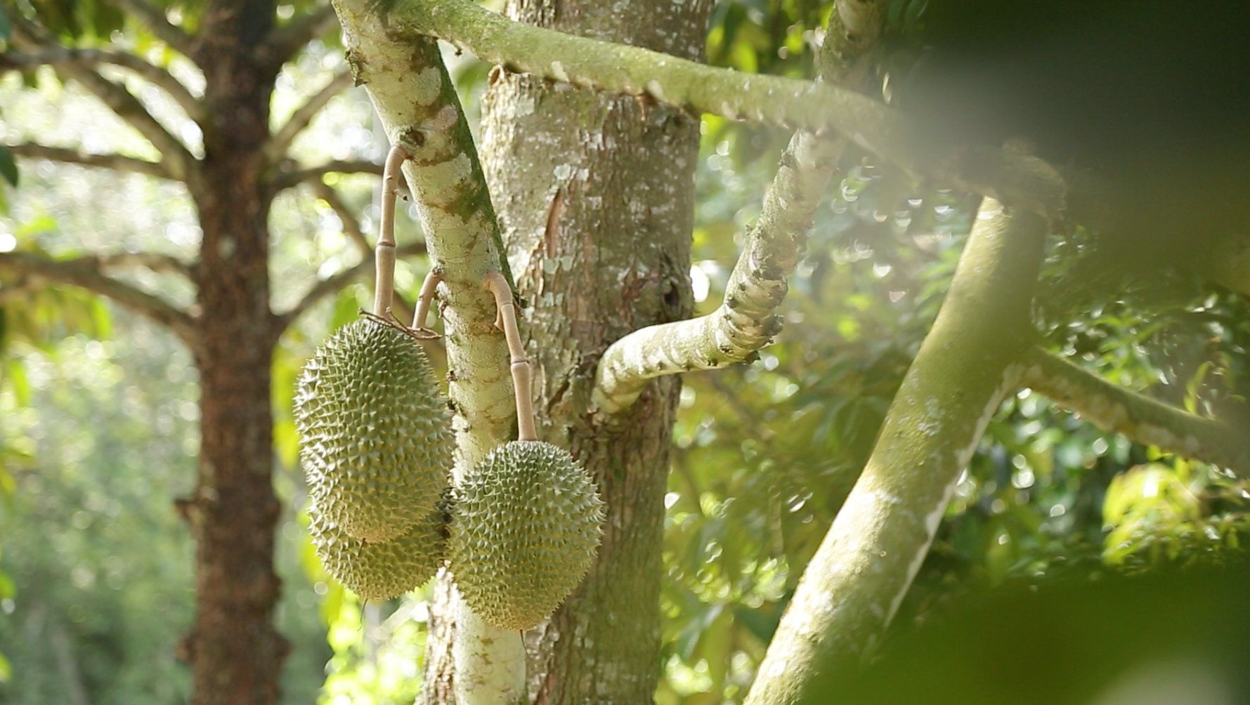 รูปภาพข่าวสาร