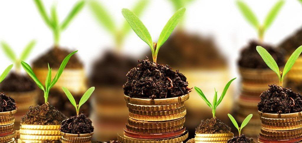 รูปภาพข่าวสาร