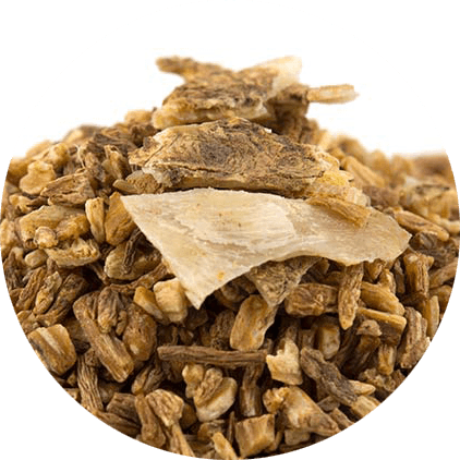 รูปภาพข่าวสาร